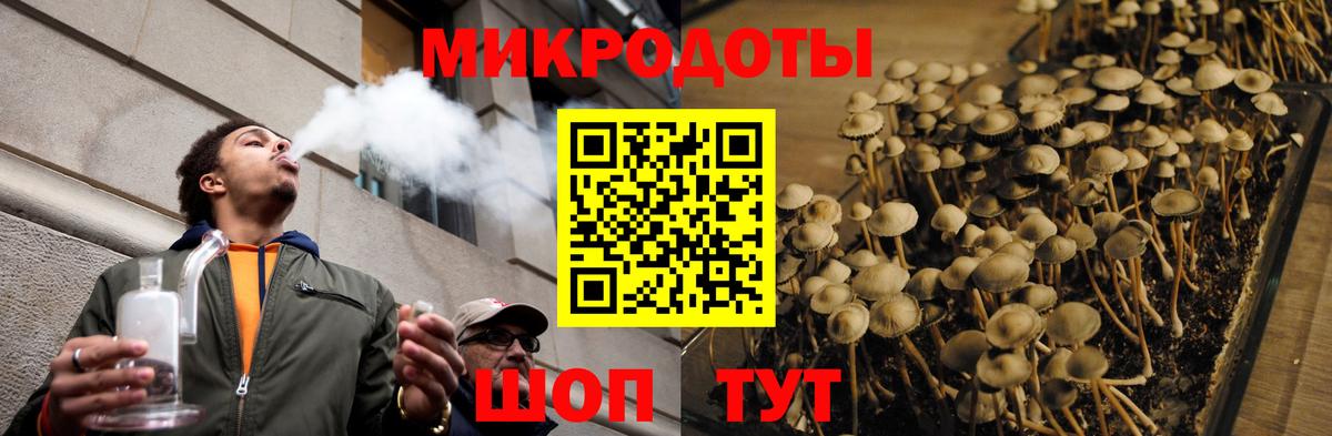 где найти   Псилоцибиновые грибы прущие грибы  Вход с VPN  Серов 