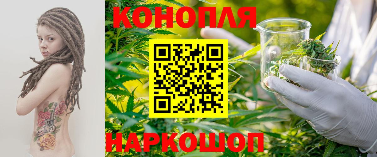 Бошки марихуана OG Kush  Шишки марихуана индика  Вход с VPN  Каннабис марихуана  Шишки марихуана Ganja  Серов 